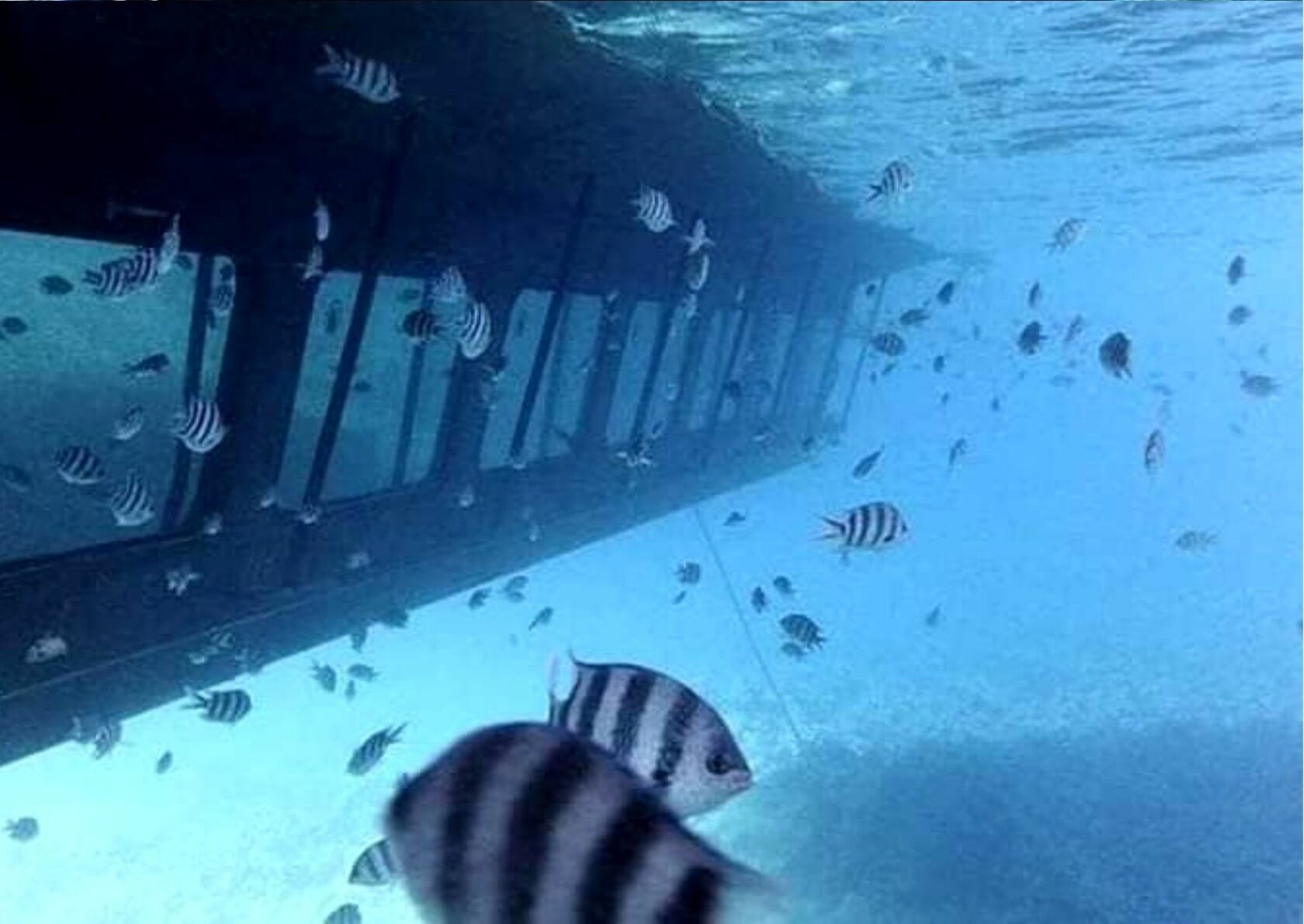 Submarine Hurghada Egypt red sea Excursions