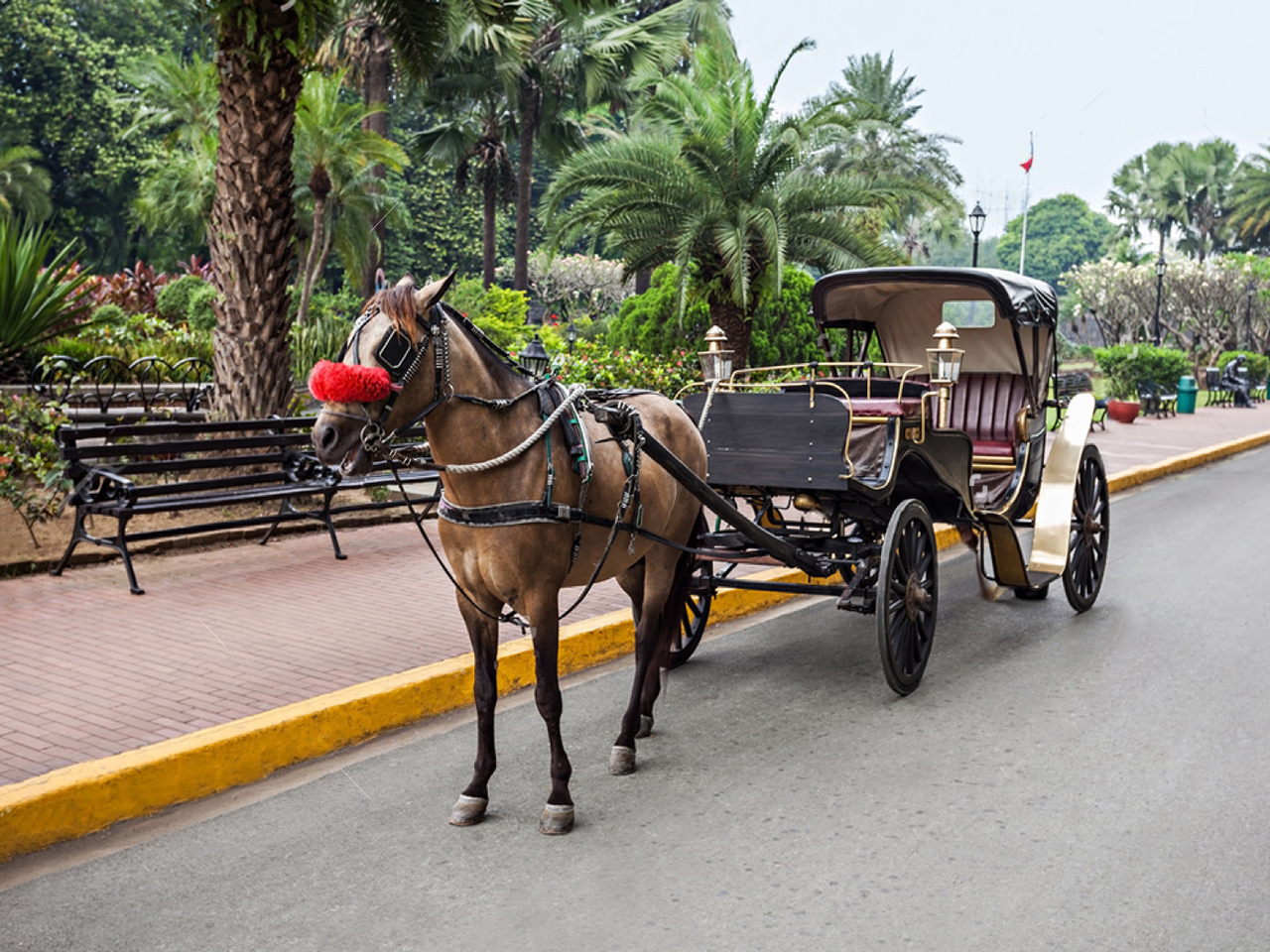 Luxor City tour by horse carriage