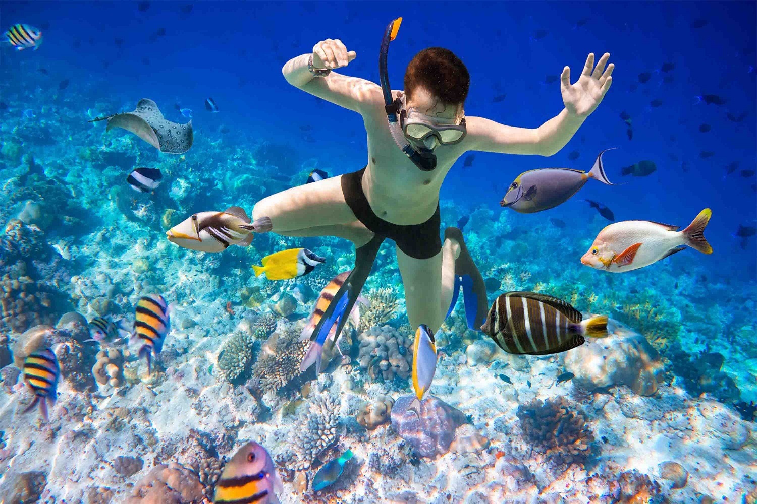 Red Sea