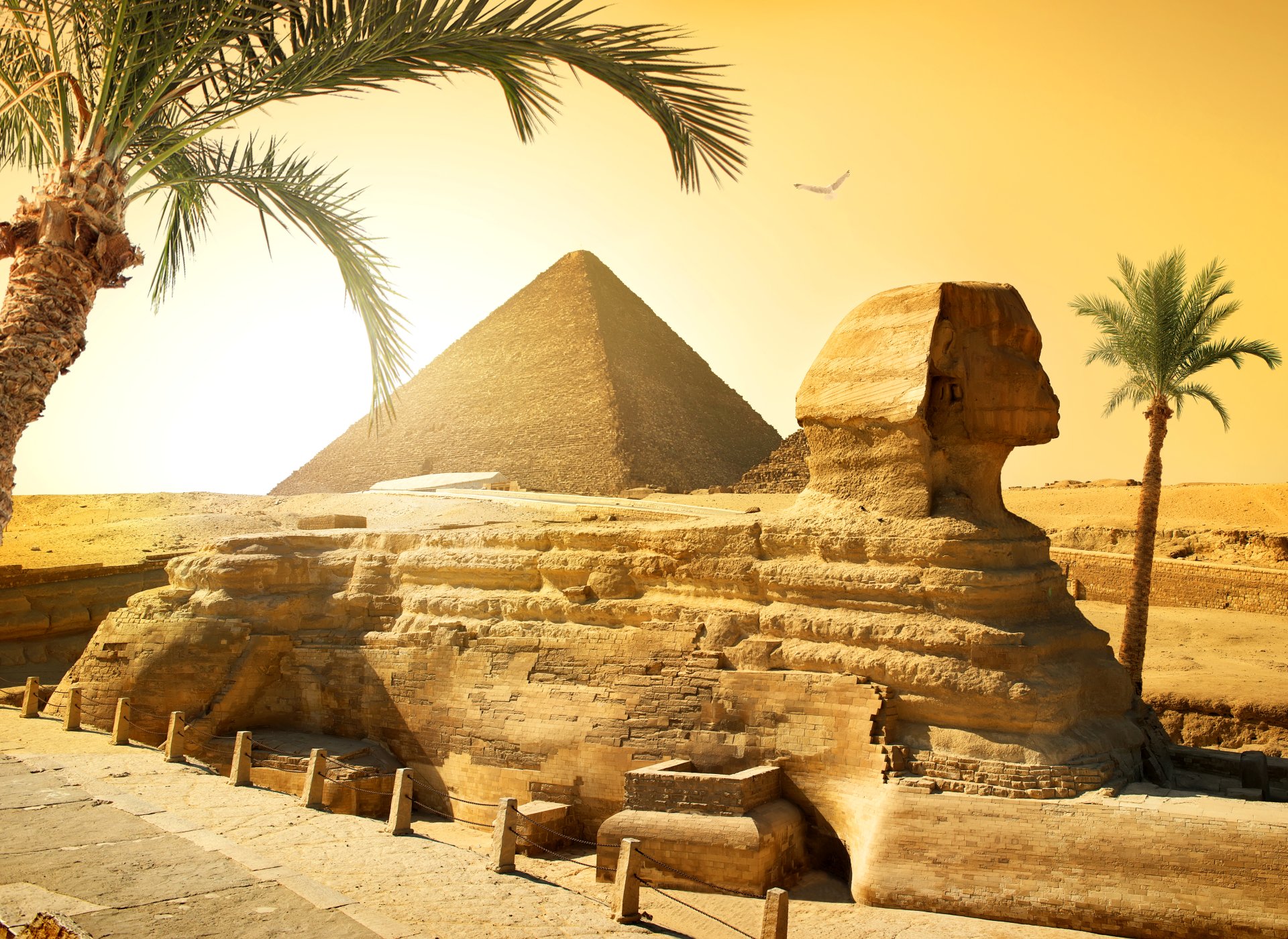 Half Day Private guided Tour to Giza Pyramids and The Great Sphinx